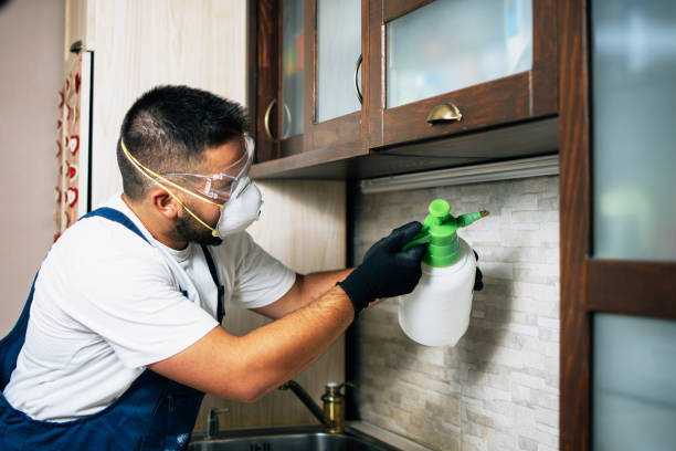 Best Mosquito Control Services  in Meadville, PA