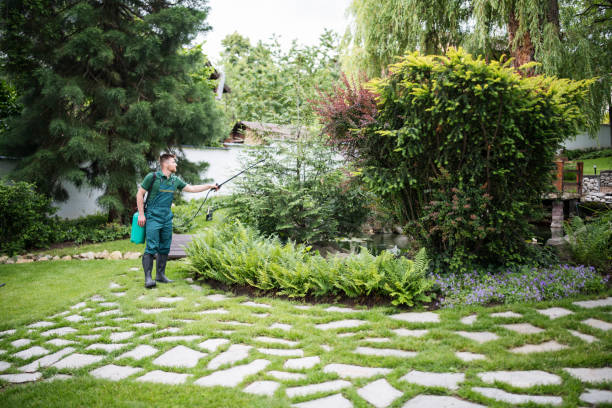 Best Pest Control for Businesses  in Meadville, PA
