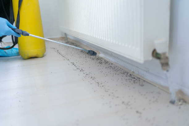 Best Emergency Pest Control  in Meadville, PA